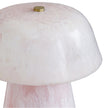 TOV Furniture Pouty Pink Resin Table Lamp
