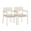 TOV Furniture Sardinia Cream Performance Fabric Outdoor Dining Chair - Set of 2
