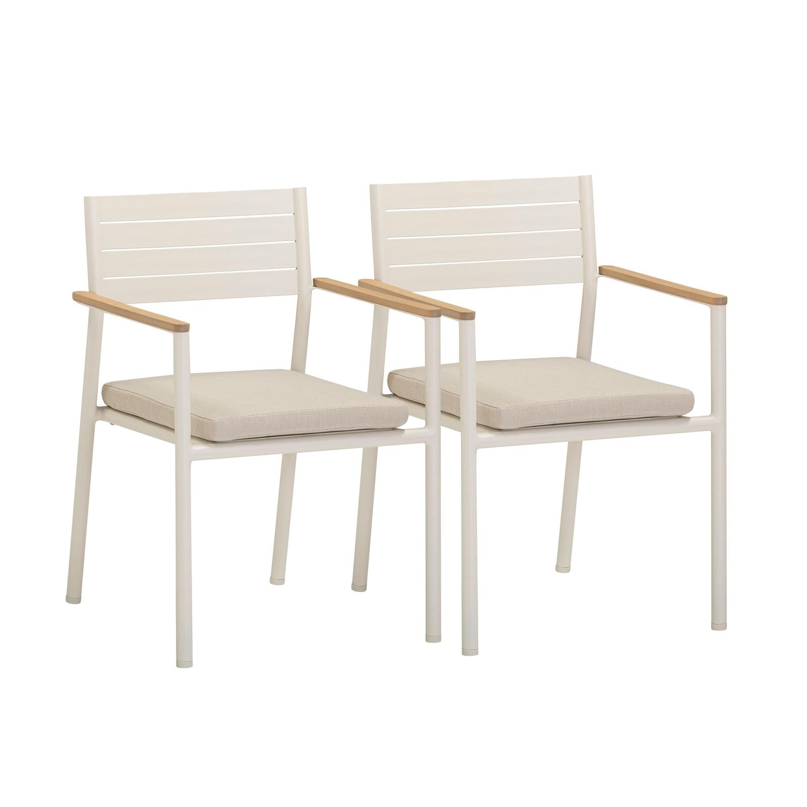 TOV Furniture Sardinia Cream Performance Fabric Outdoor Dining Chair - Set of 2