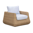 TOV Furniture Dana Outdoor Accent Chair
