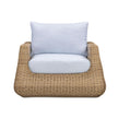 TOV Furniture Dana Outdoor Accent Chair