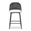 TOV Furniture Alexa Performance Fabric Outdoor Counter Stool