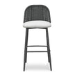 TOV Furniture Alexa Performance Fabric Outdoor Bar Stool
