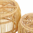 TOV Furniture Azrina Rattan Nesting Table