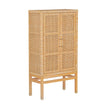 TOV Furniture Amara Rattan Cabinet