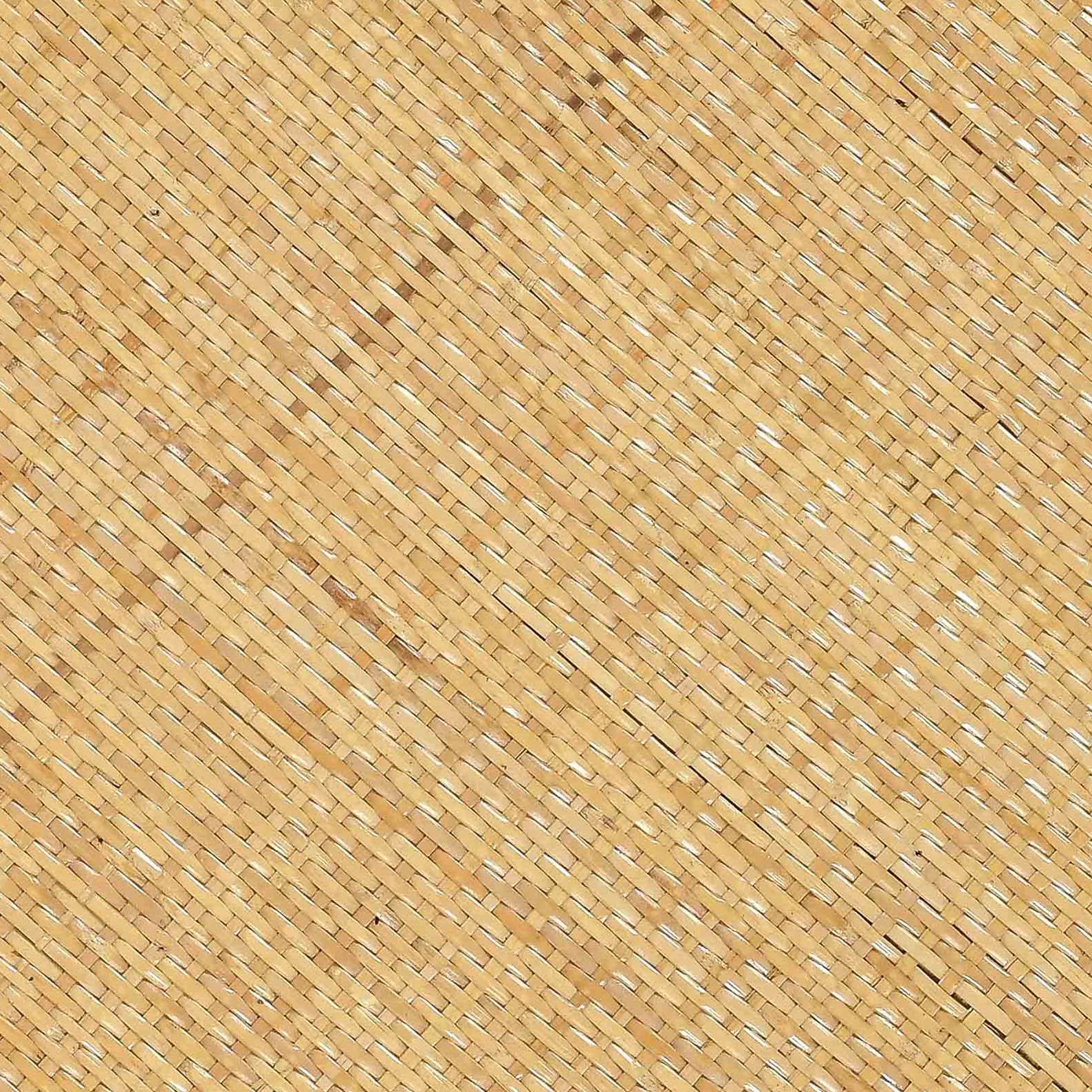 TOV Furniture Amara Natural Rattan Side Table
