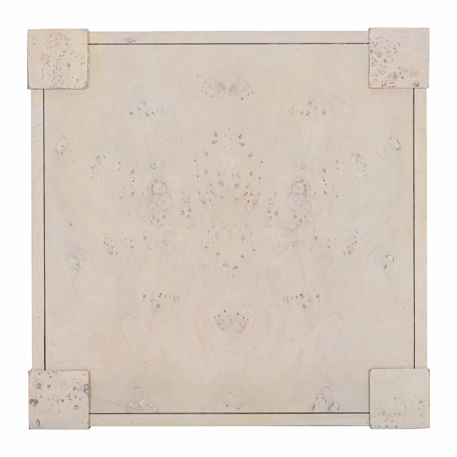 TOV Furniture Brandyss Burl End Table