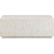 TOV Furniture Earl Shell Rectangular Coffee Table