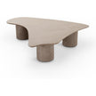 TOV Furniture Rhema Washed Ash Coffee Table