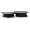 TOV Furniture Roche 2-Piece Ash Nesting Coffee Table Set