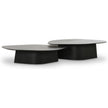 TOV Furniture Roche 2-Piece Ash Nesting Coffee Table Set