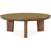 TOV Furniture Oani Walnut Coffee Table