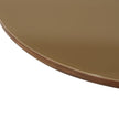 TOV Furniture Oani Walnut Coffee Table