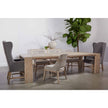 Essentials For Living Tapestry Dining Chair Set of 2