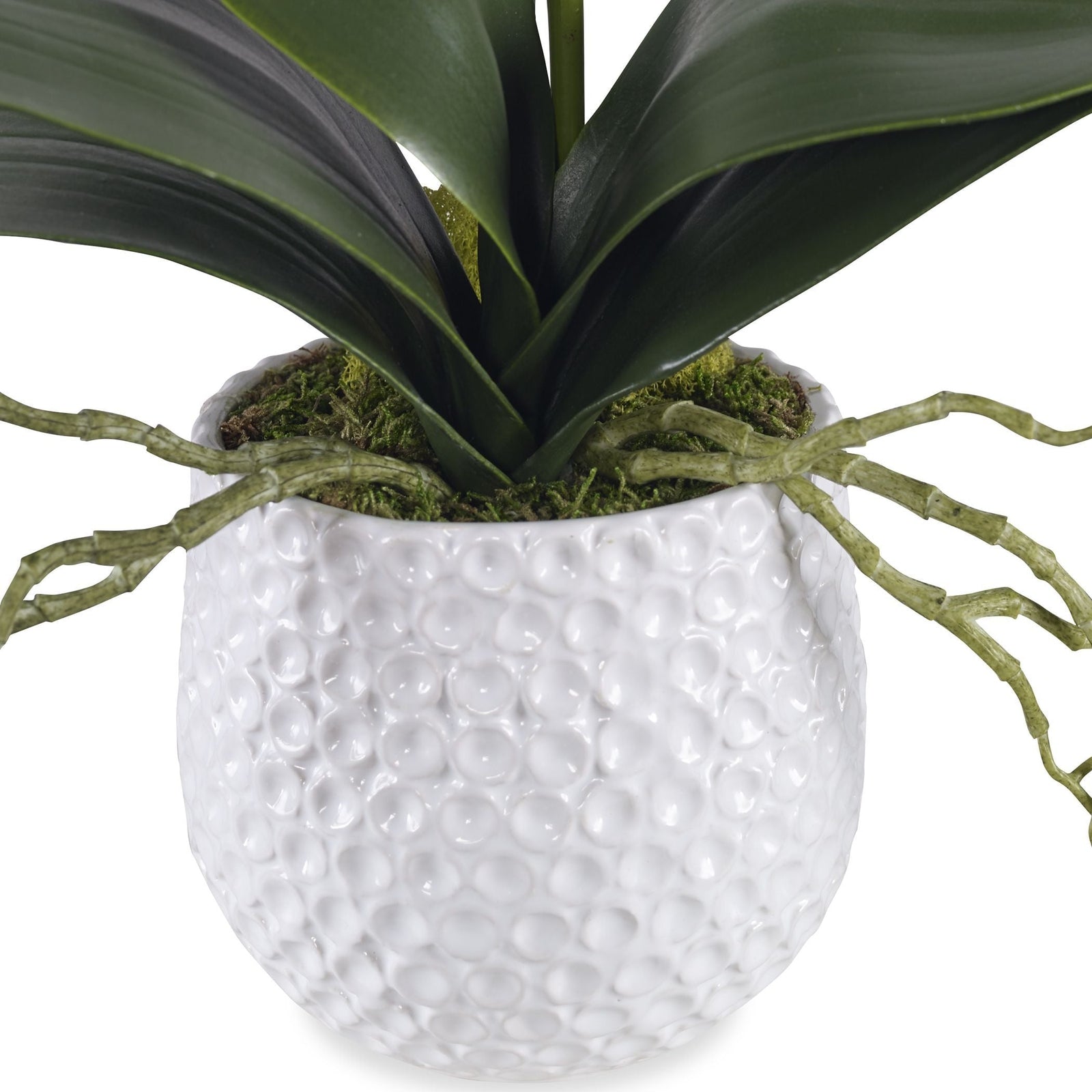 Uttermost Cami Orchid