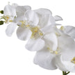Uttermost Cami Orchid