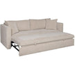 Vanguard Addley Pull Out Sleeper Sofa