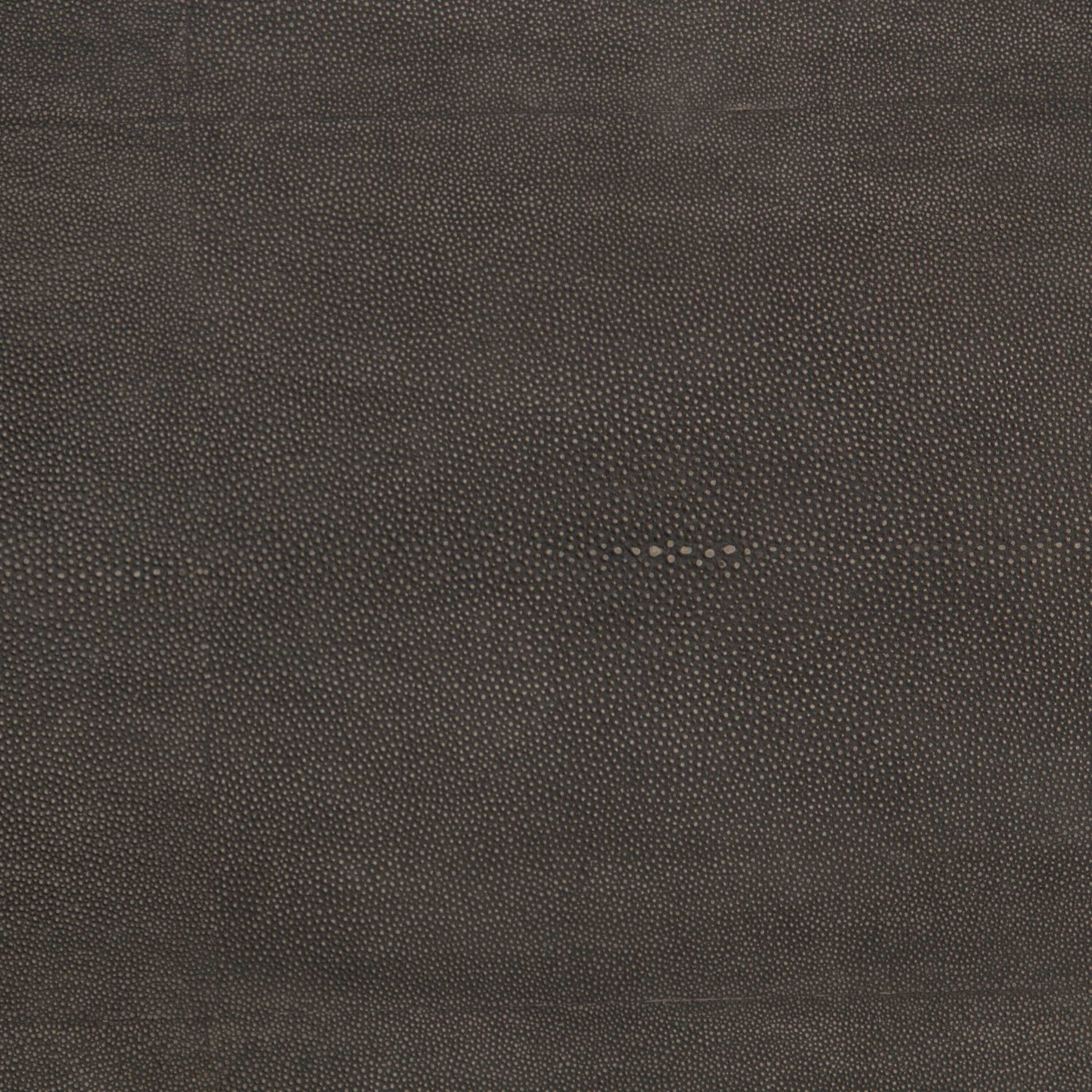 Four Hands Shagreen Shadow Box Coffee Table