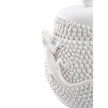 Wildwood Anolis White Canister