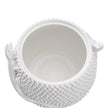 Wildwood Anolis White Canister