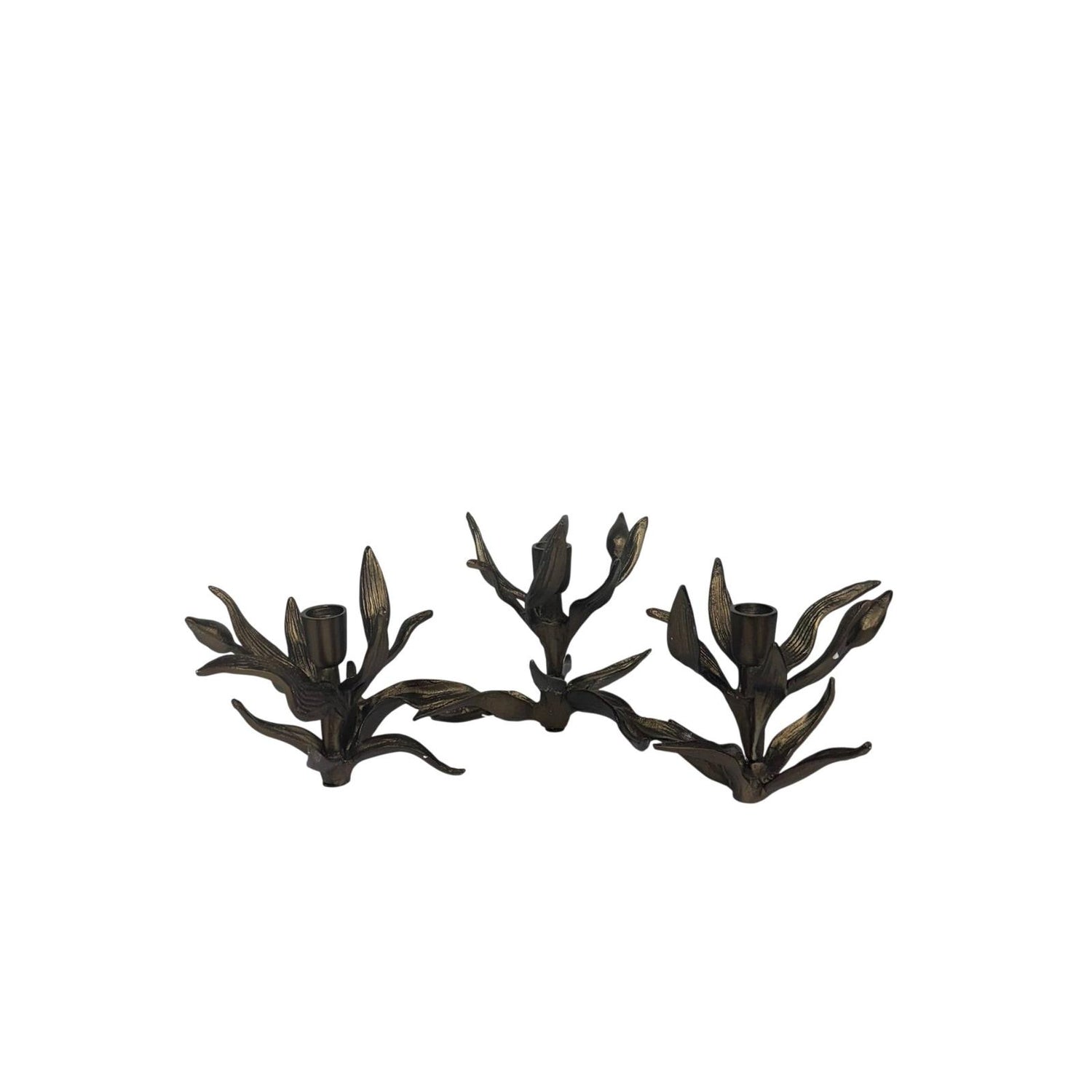Wildwood Bellatrix Candleholder