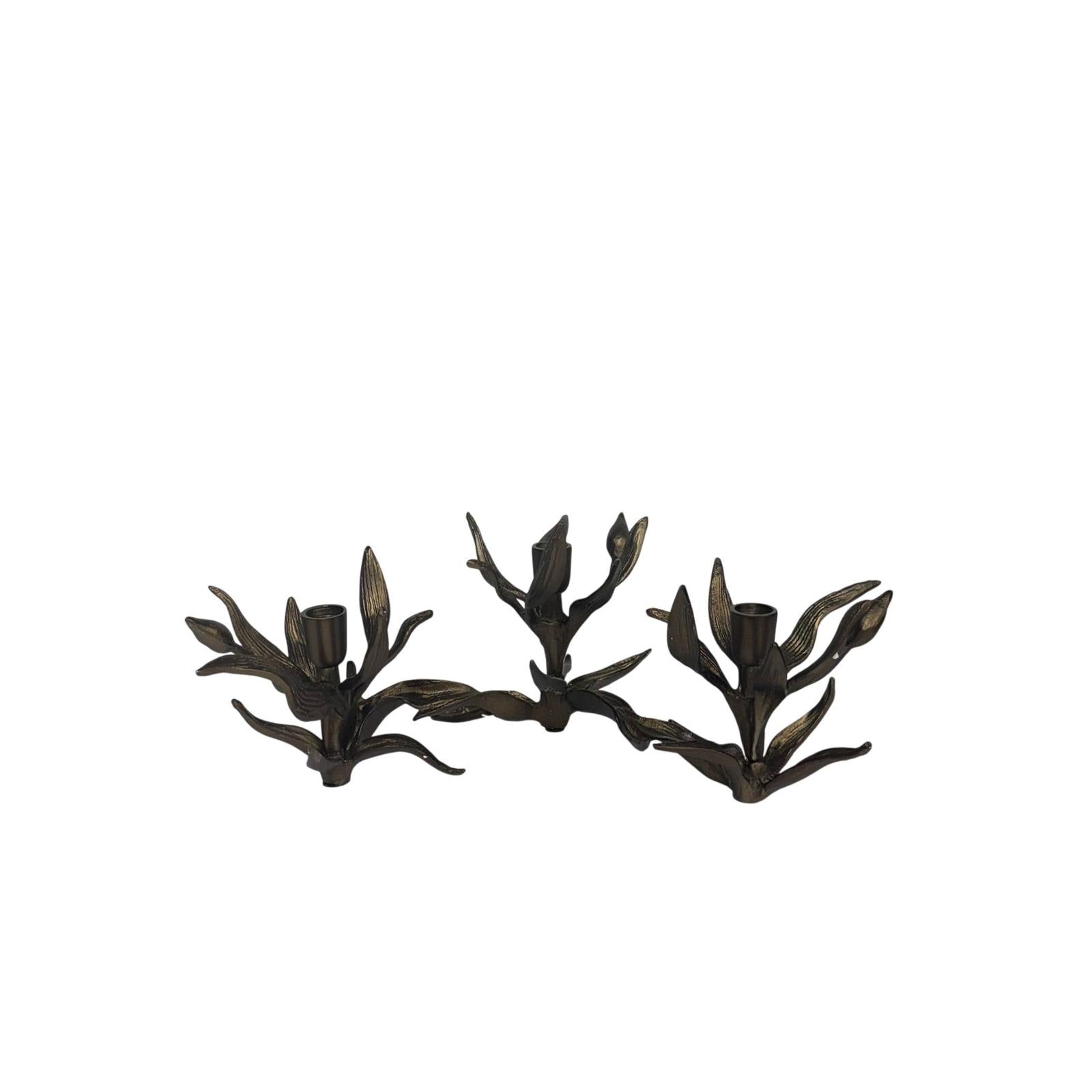 Wildwood Bellatrix Candleholder