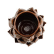 Wildwood Stassi Vase