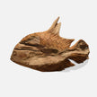 Flounder Wall Decor - Set of 3