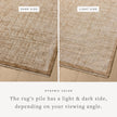 Loloi II Winston WIT-01 Spice / Bone Rug DC10