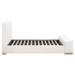 Essentials For Living Warren Bed