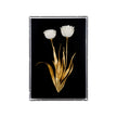 Chelsea House Porcelain Flower Black Artwork