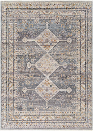 Surya Aida AAD-2305 Machine Woven Rug