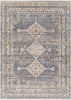 Surya Aida AAD-2305 Machine Woven Rug