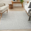 Nourison Natural Texture NTX01 Farmhouse Indoor Rug
