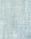 Surya Alicia ACS-2301 Handmade Rug Clearance