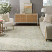 Nourison Colorado CLR02 Modern Indoor Rug
