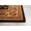 Nourison 2000 2206 Traditional Indoor Rug
