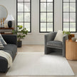 Nourison Modern Comfort MNC03 Scandinavian Indoor Rug