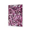 Villa & House Asha Framed Canvas