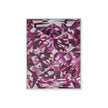 Villa & House Asha Framed Canvas