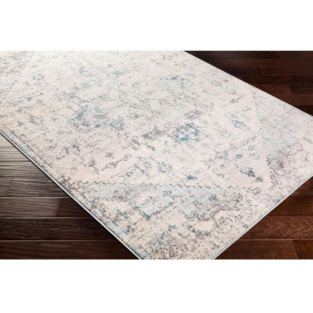 Surya Ankara AKR-2310 Machine Woven Rug