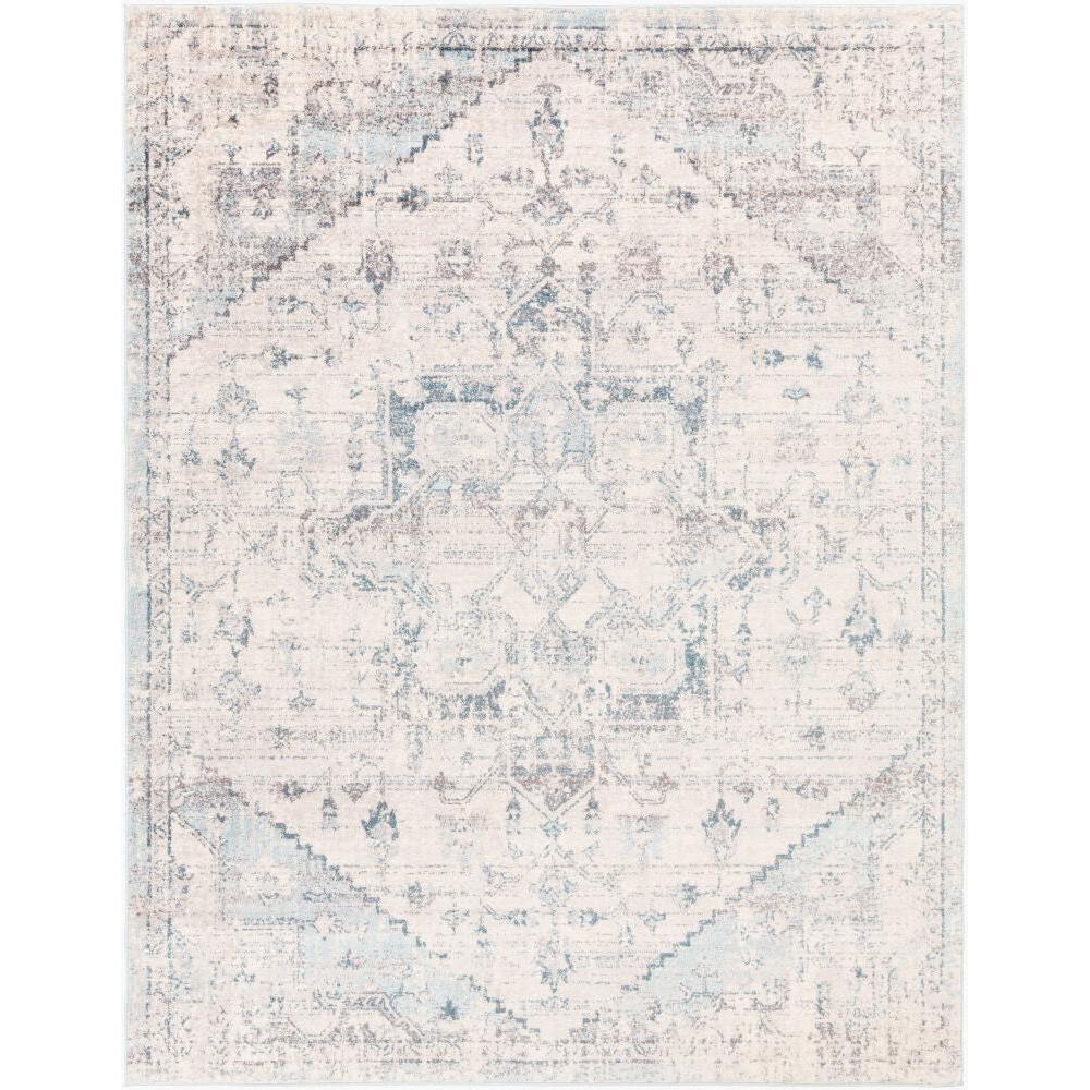 Surya Ankara AKR-2310 Machine Woven Rug