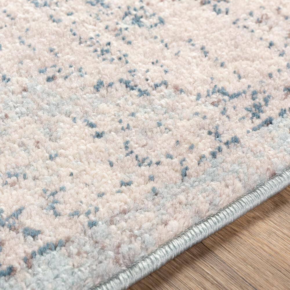 Surya Ankara AKR-2310 Machine Woven Rug