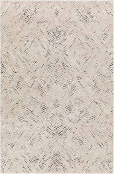 Livabliss by Surya Alder ALD-2313 Machine Woven Rug Black/Ivory/Taupe