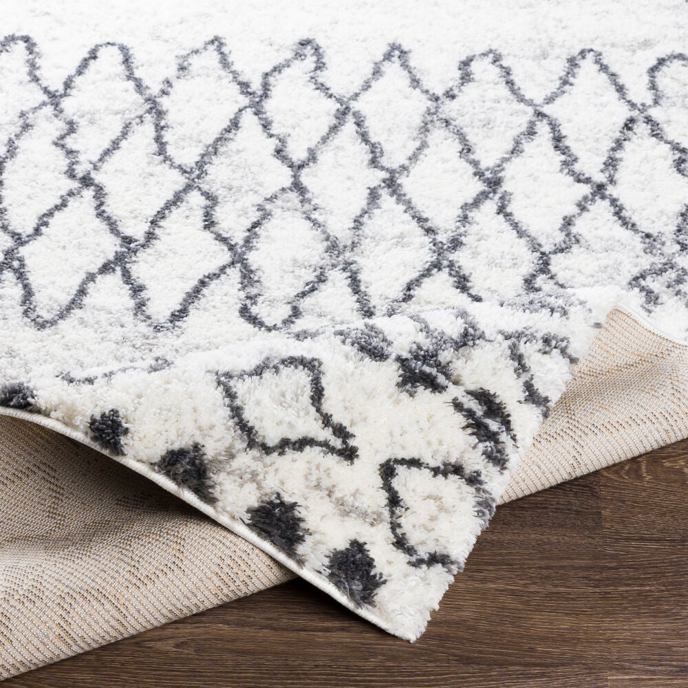 Surya Aliyah Shag ALH-2311 Machine Woven Rug
