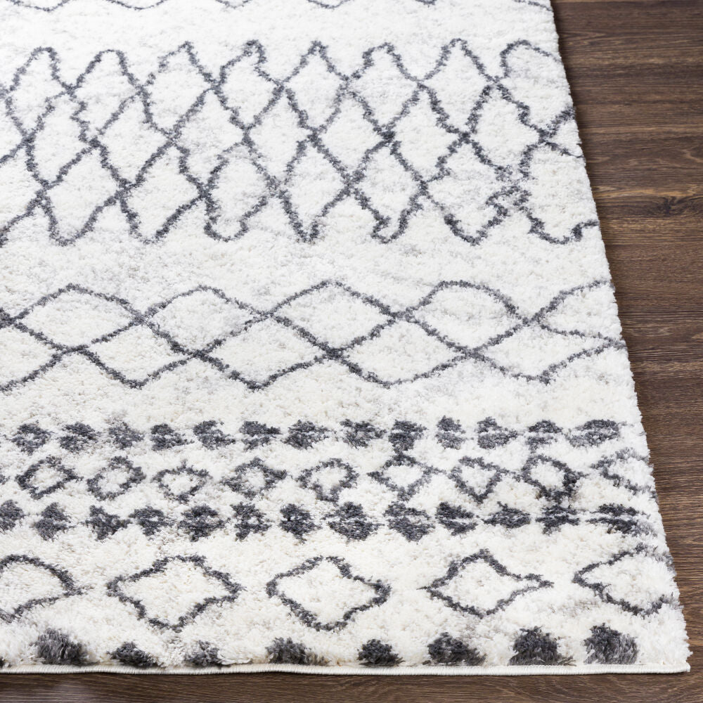 Surya Aliyah Shag ALH-2311 Machine Woven Rug