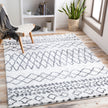 Surya Aliyah Shag ALH-2311 Machine Woven Rug