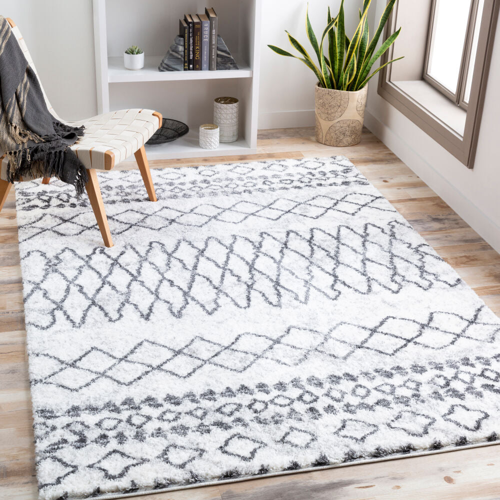 Surya Aliyah Shag ALH-2311 Machine Woven Rug