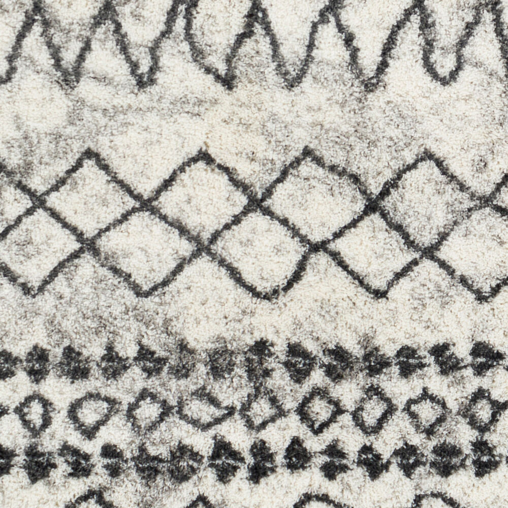 Surya Aliyah Shag ALH-2311 Machine Woven Rug