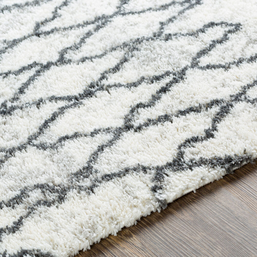 Surya Aliyah Shag ALH-2311 Machine Woven Rug